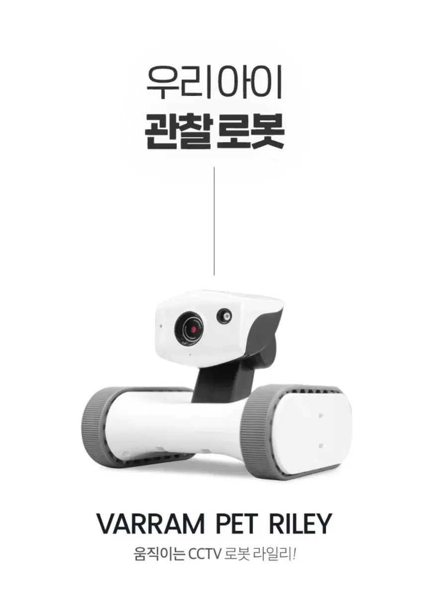 강아지 앱 봅 라일리 로봇cctv